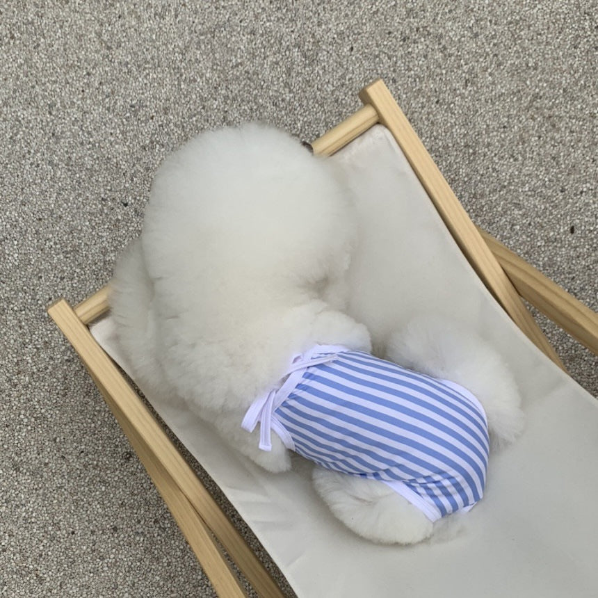 Striped Printed Dog Swimsuit