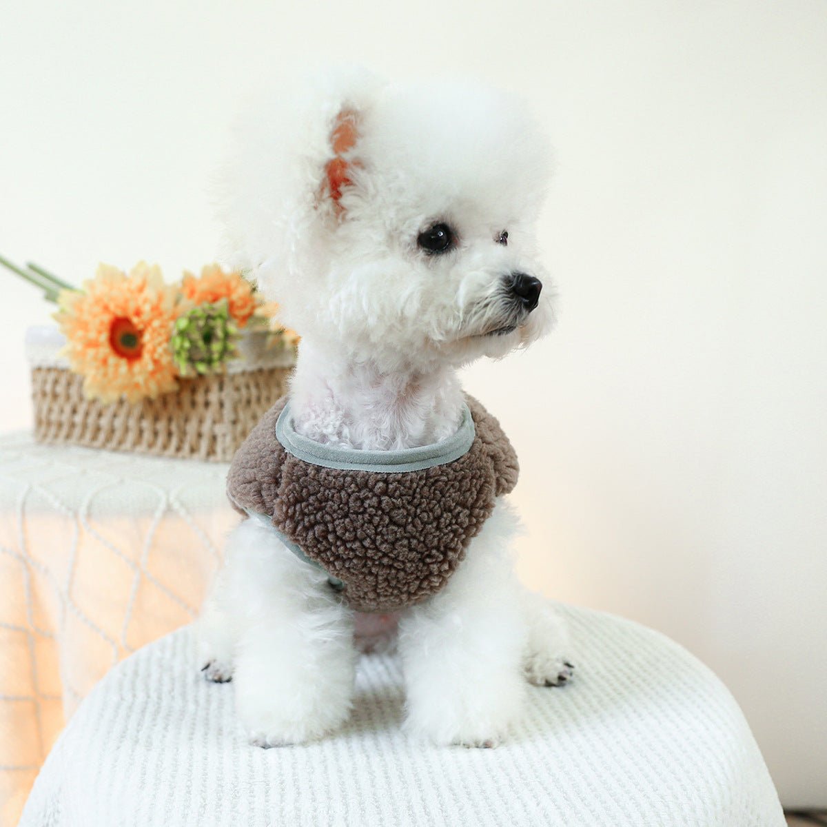 Buttoned Pocket Fleece Dog Jacket Vest