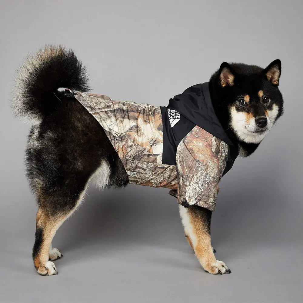 ArcticPup Winter Coat