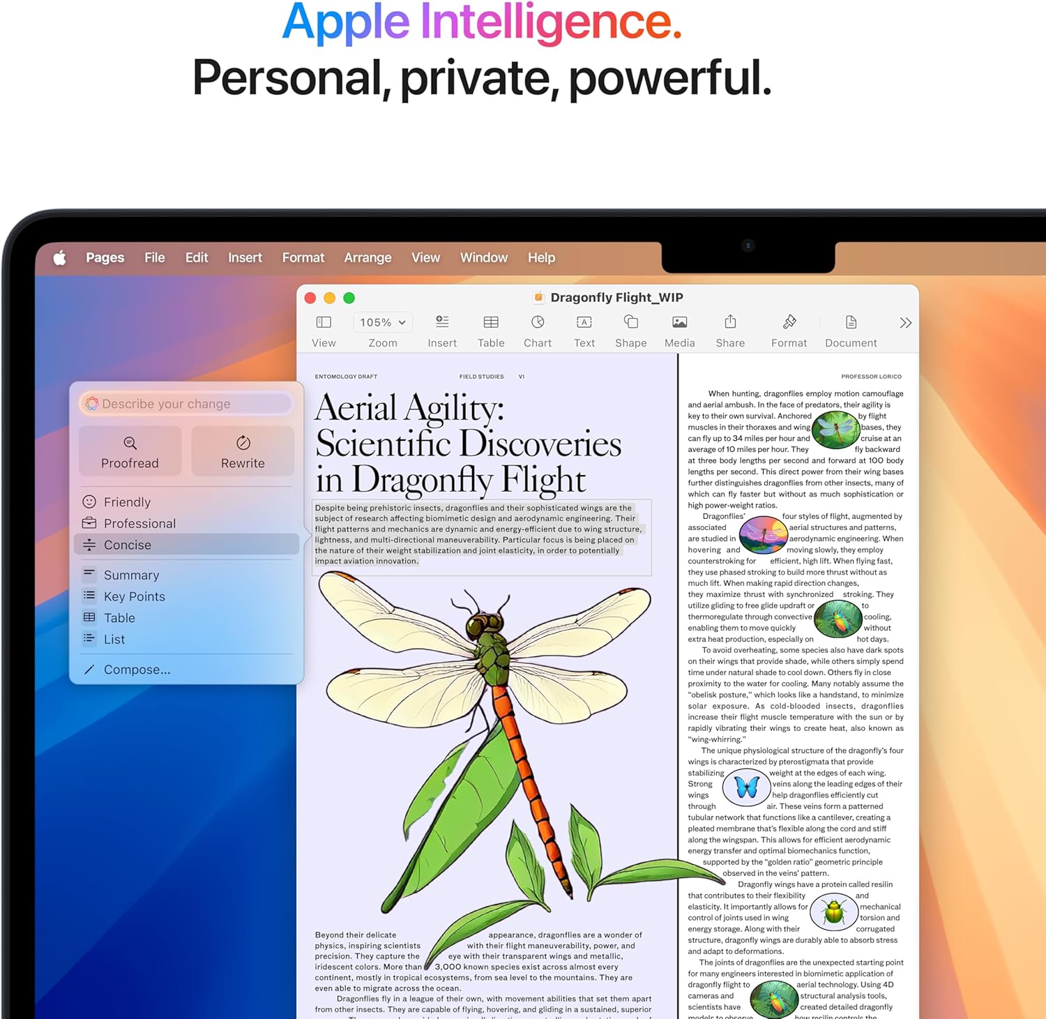 🔥Limited Time Offer🔥2025 MacBook Air 13-inch Laptop with M4 chip