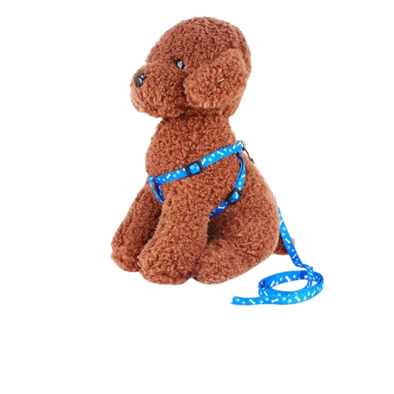Adjustable Nylon Dog Leash and Harness Set