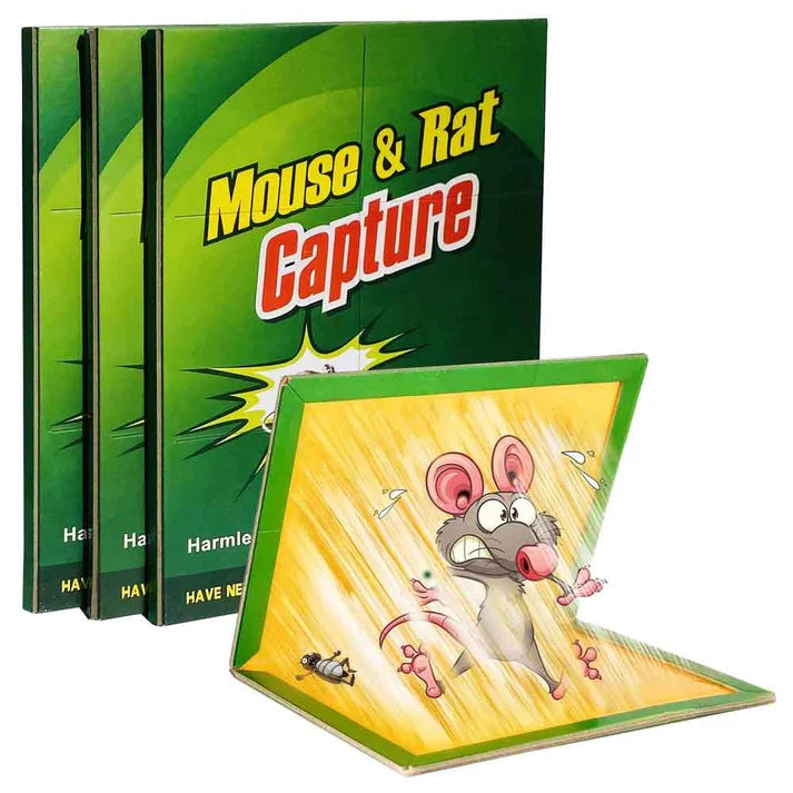 Pack Of 3 Mouse Glue Traps Expert Catch