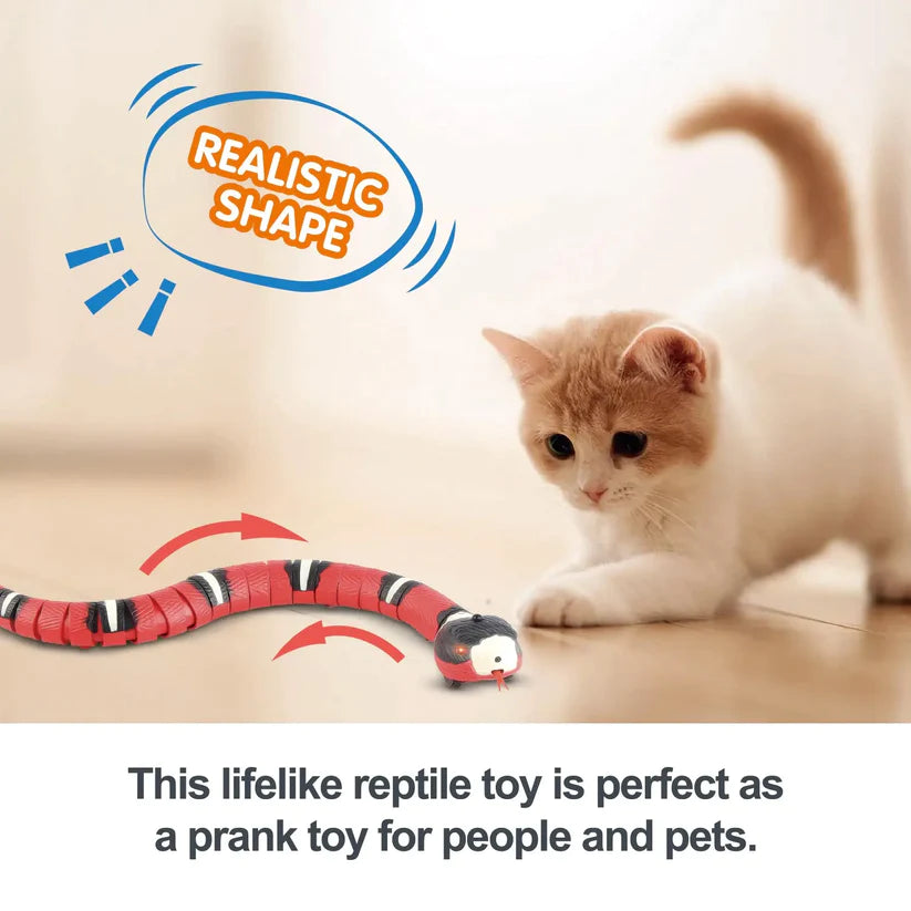 Snake Cat Toy