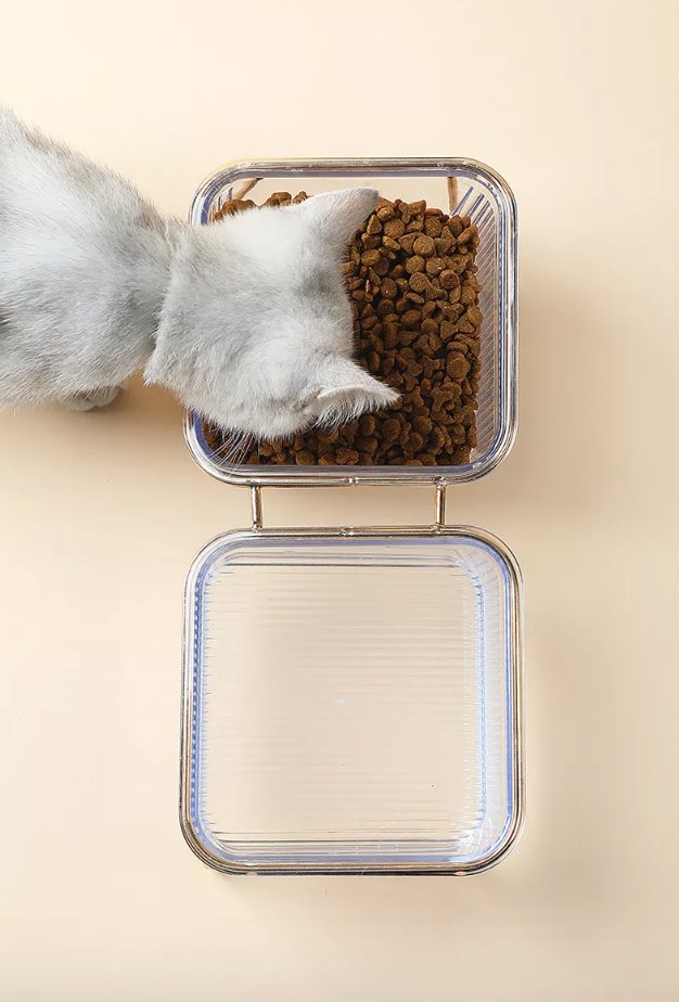 Eva Clear Double Pet Bowl in Gold