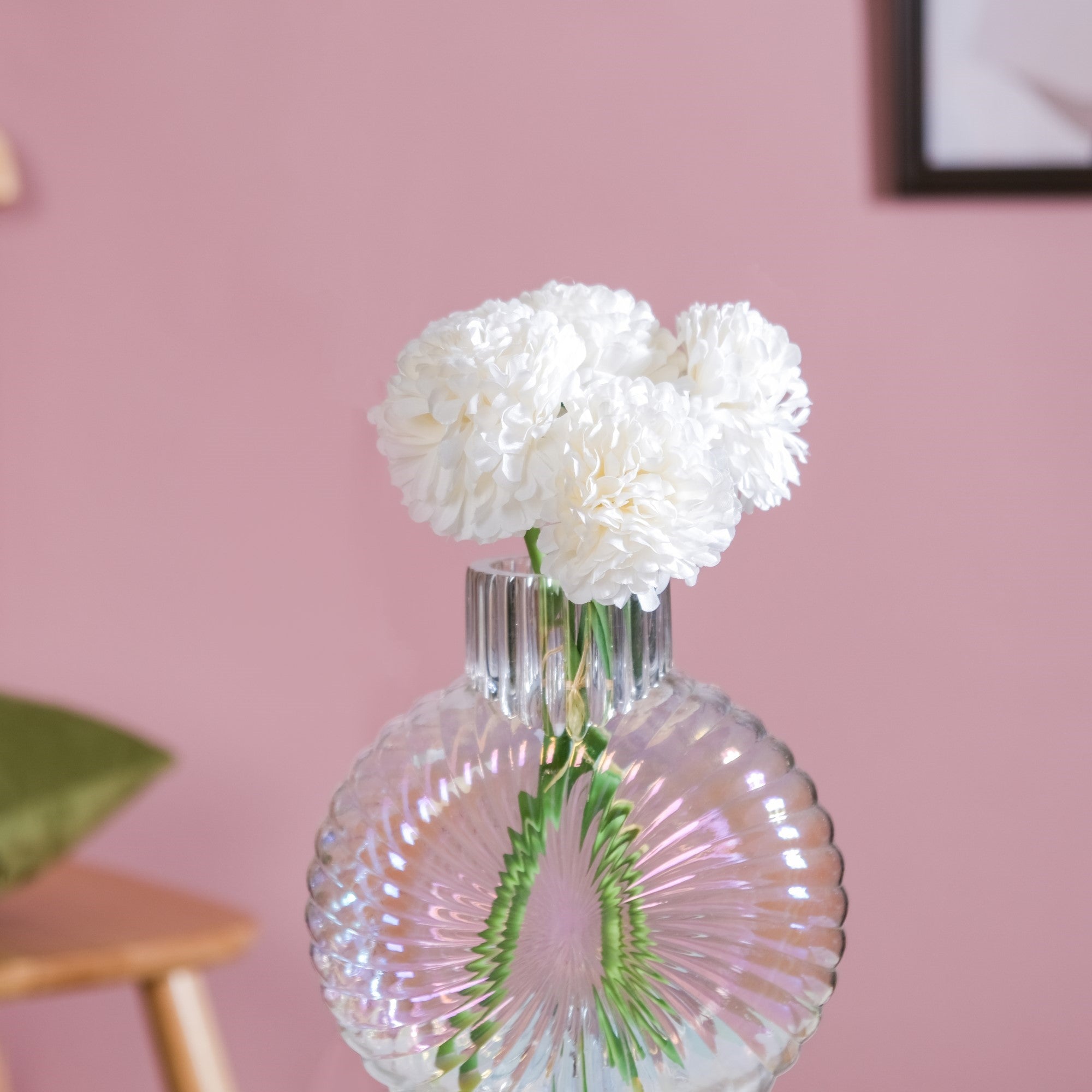 Chrysanthemum White