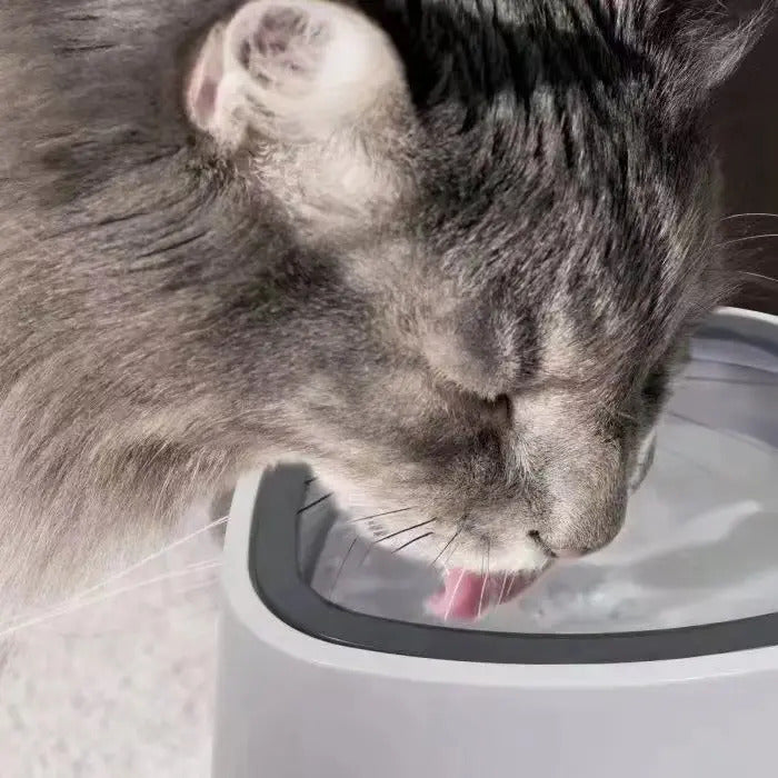 1.5L PORTABLE SPLASH-PROOF DOG WATER BOWL