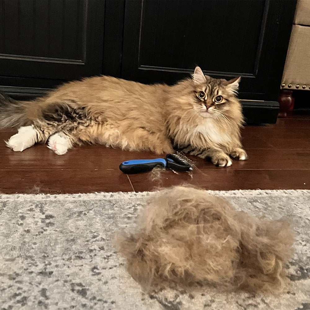 🔥Summer Gift 50% OFF🔥Pet Grooming Brush - Double Sided Shedding And Dematting Undercoat Rake Comb