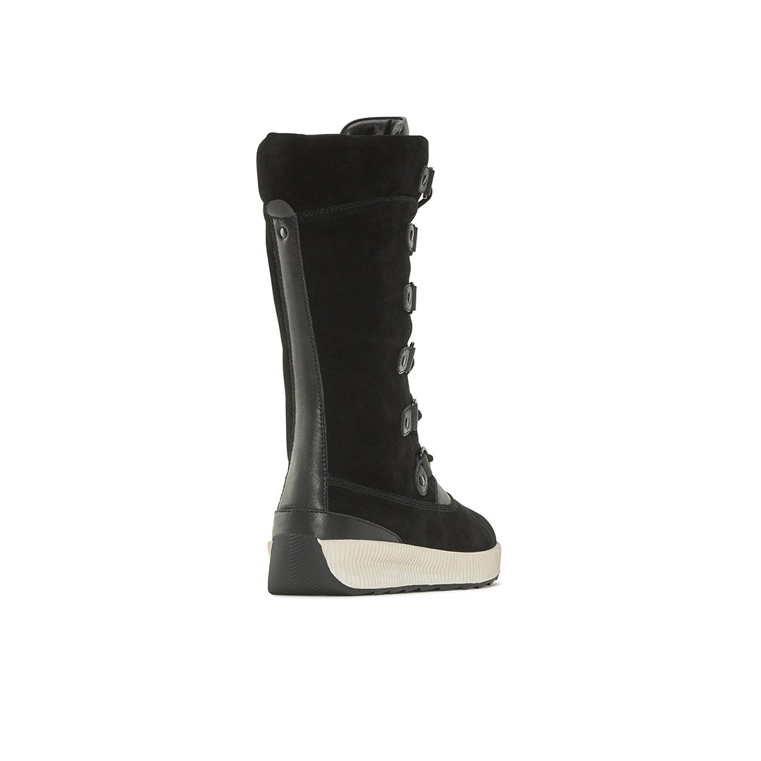 Hivernal Tall