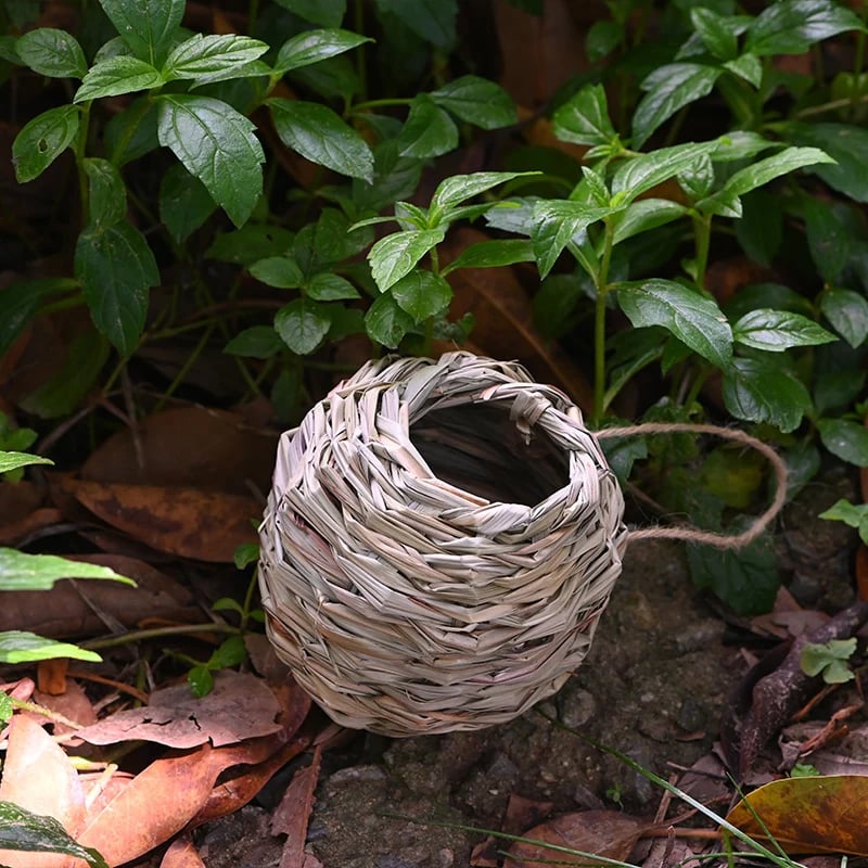 💲49% OFF-🐦Hummingbird Nest House