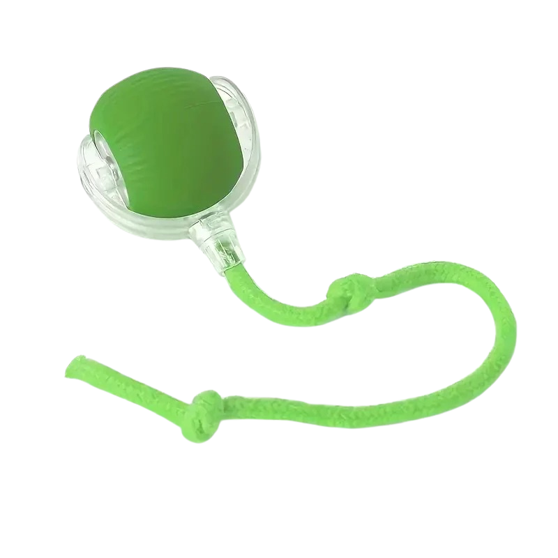 Interactive Motion Ball For Pets With USB Charging