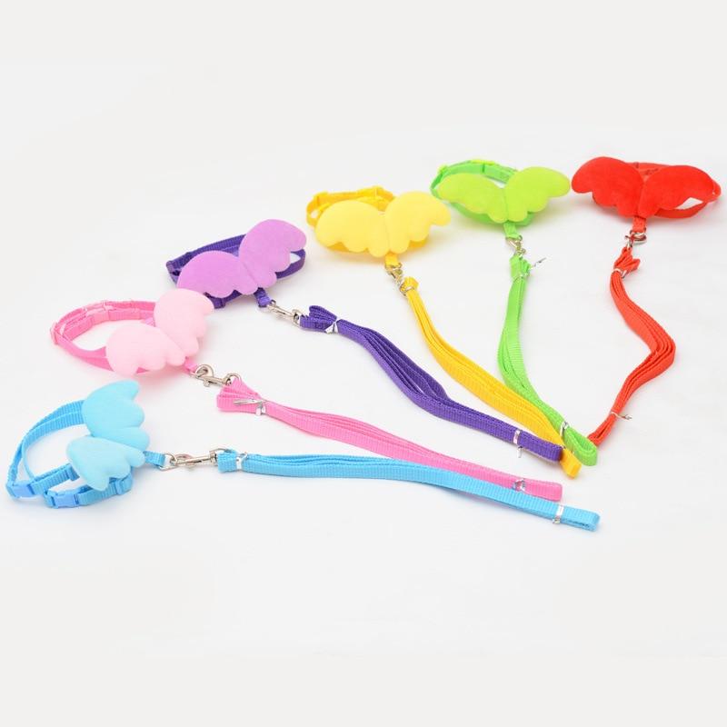Angel Wing Dog Harness With Leash