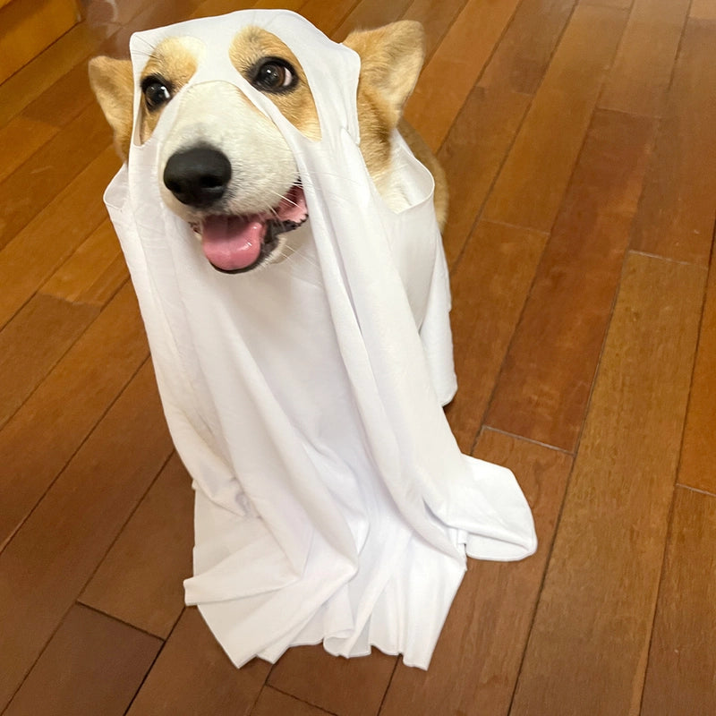 Funny Minimalist Polyester Halloween Solid Color Pet Clothing