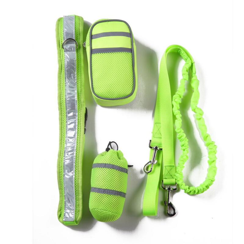 Walking Training Dog Leash Set
