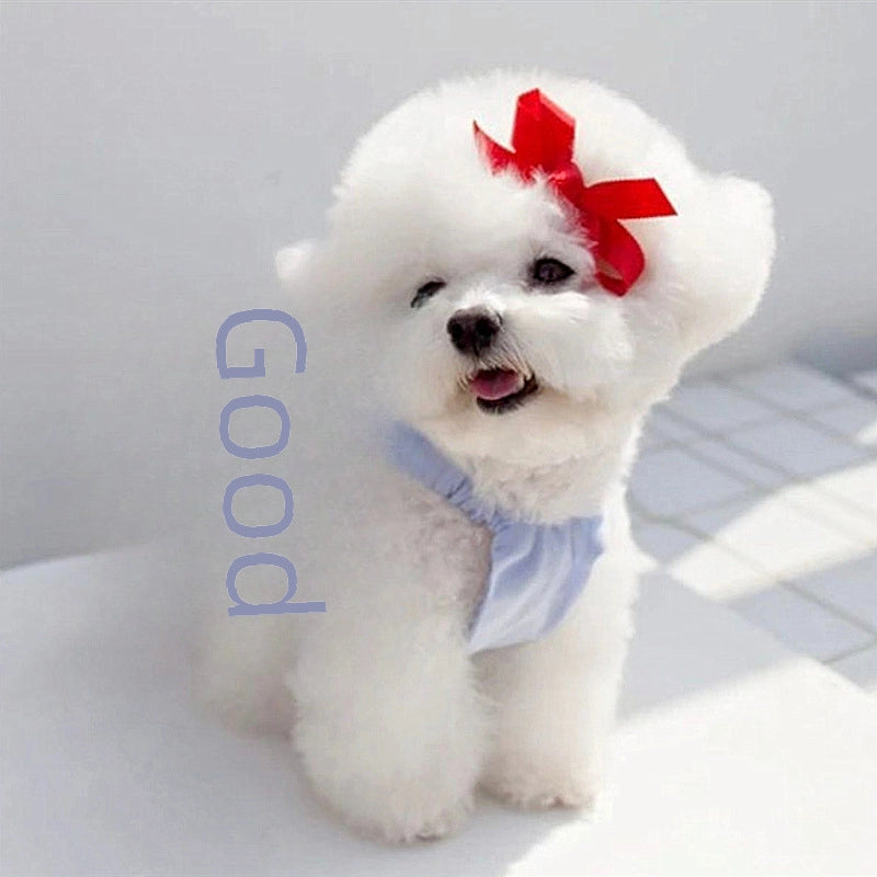 Summer Thin Pet Princess Dress Suitable For Small Puppies Cats Teddy Bichon Pomeranian Dog Summer Clothes
