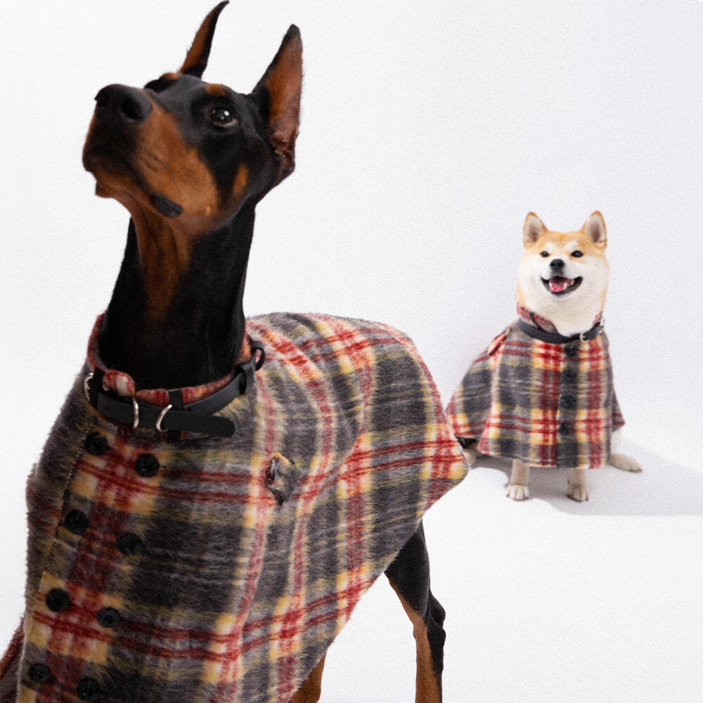 Vintage Plaid Wool With Refined Leather Collar & Button Dog Cape