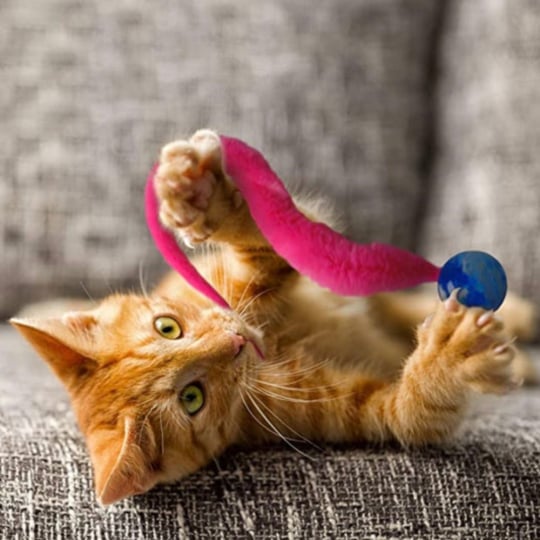 Jiggle Ball for Cat