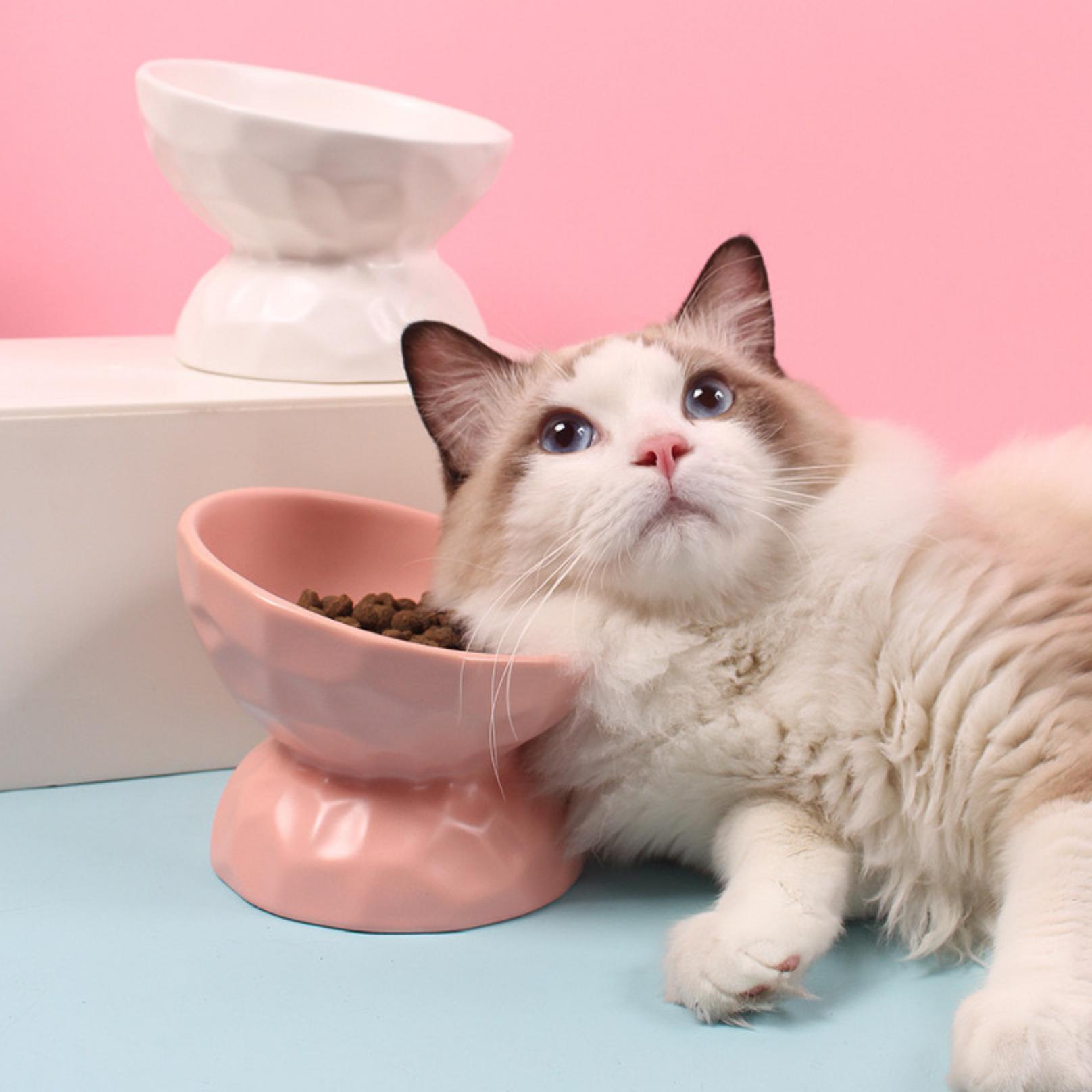Tilting Ceramic Cat Bowls With Uneven Texture