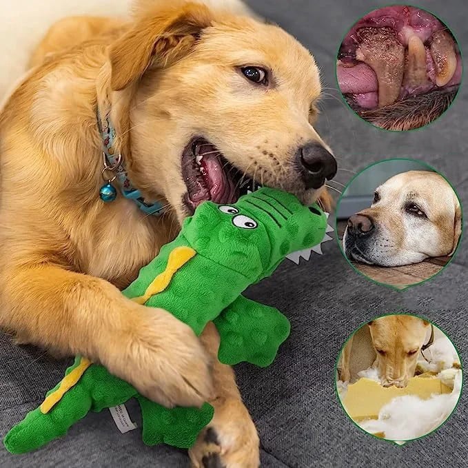 🎉Squeaky crocodile plush for aggressive chewers🐾