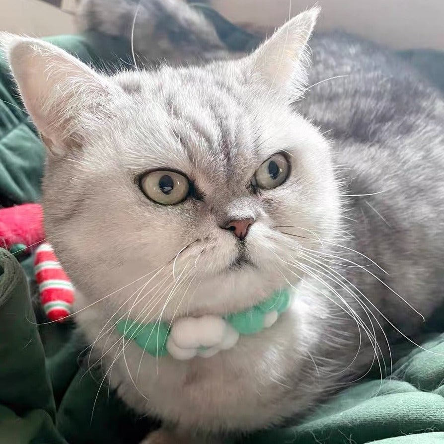 Knitted Flower Cat Dog Collar