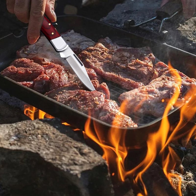 🔥🎅50% off for Christmas🎁Outdoor Stainless Steel Pocket Knife