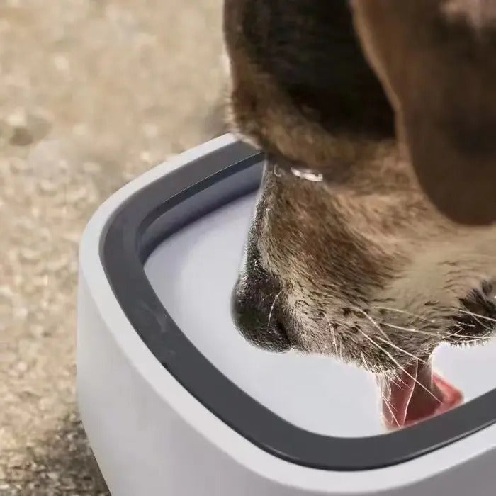 1.5L PORTABLE SPLASH-PROOF DOG WATER BOWL