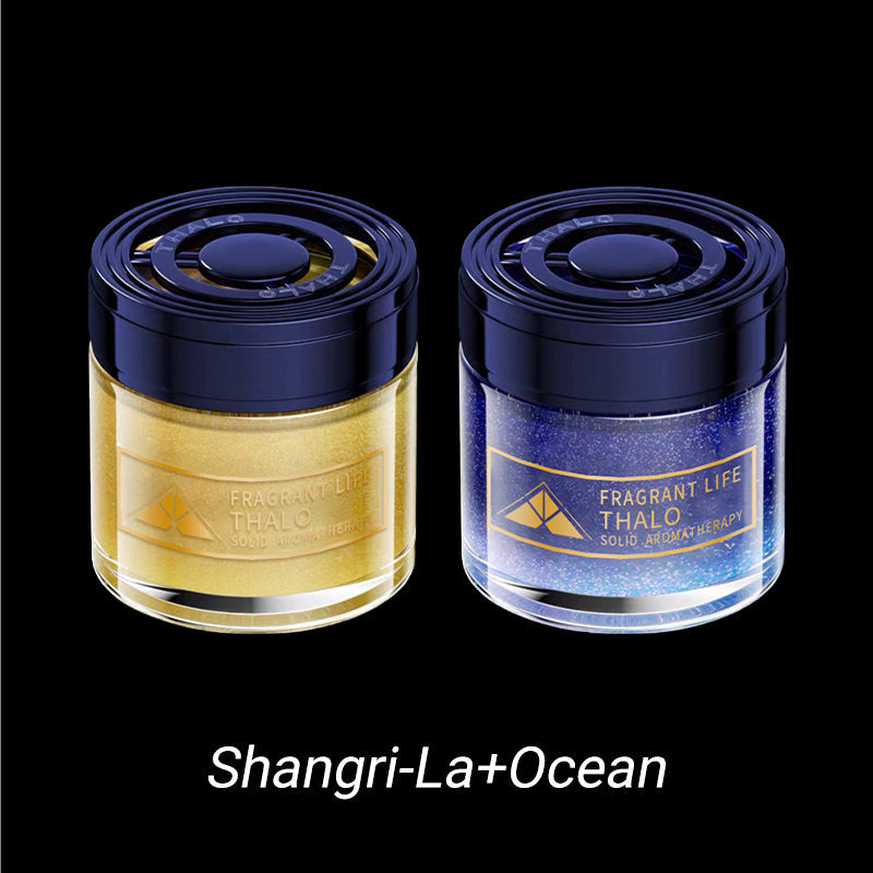 🍃Car Long-Lasting Solid Aromatherapy Fragrance