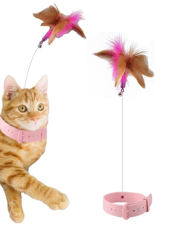 Cat Collar Toy