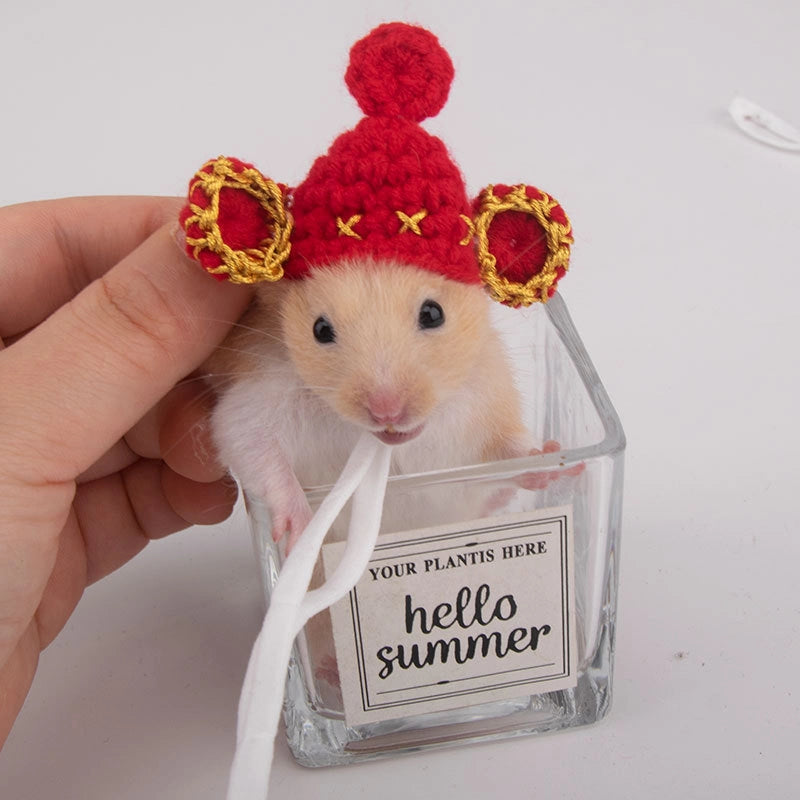 Hamster Hat Parrot Hair Band Photo Small Animal Headdress Handmade Frog Hat Ornaments Hedgehog Headgear Explosions