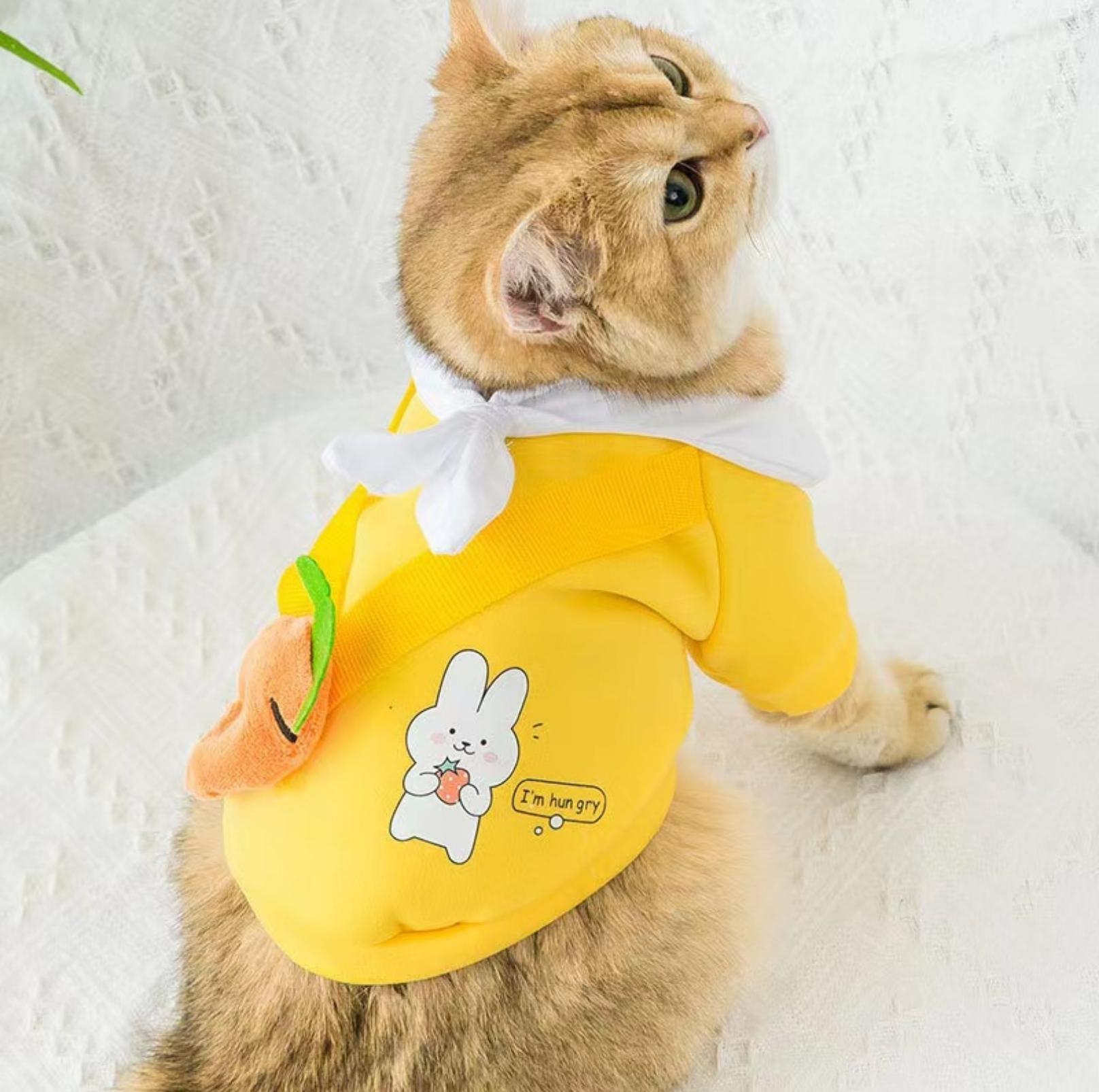 Cute Cartoon Pet Sweater with Crossbody Bag