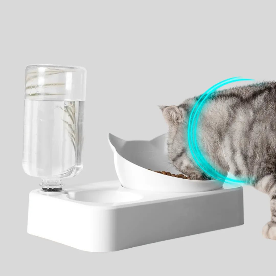 WhiskerRelief Feeding Bowl