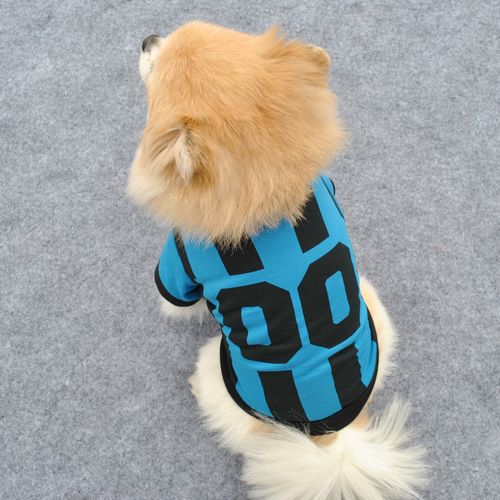 Sport Dog T-shirt