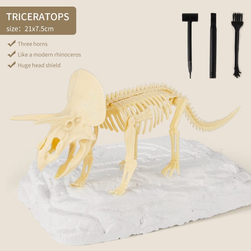 Great Educational Toy for Kids🎁2022 New Arrival Dinosaur Fossil Digging Kit - Get Three Tools For Free🔥