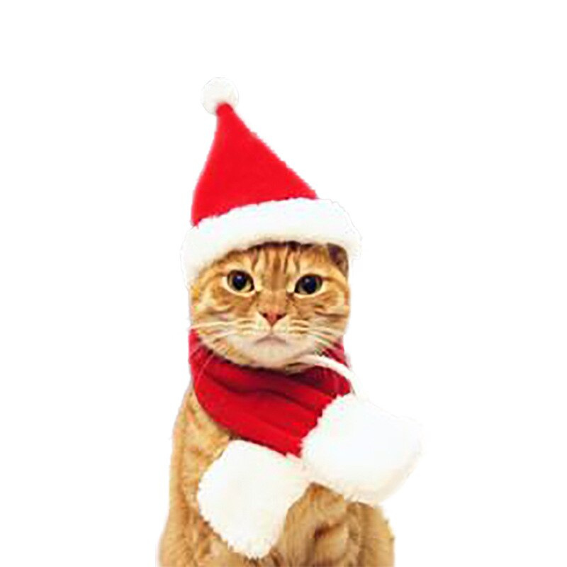 Themed Pet Cat Hats