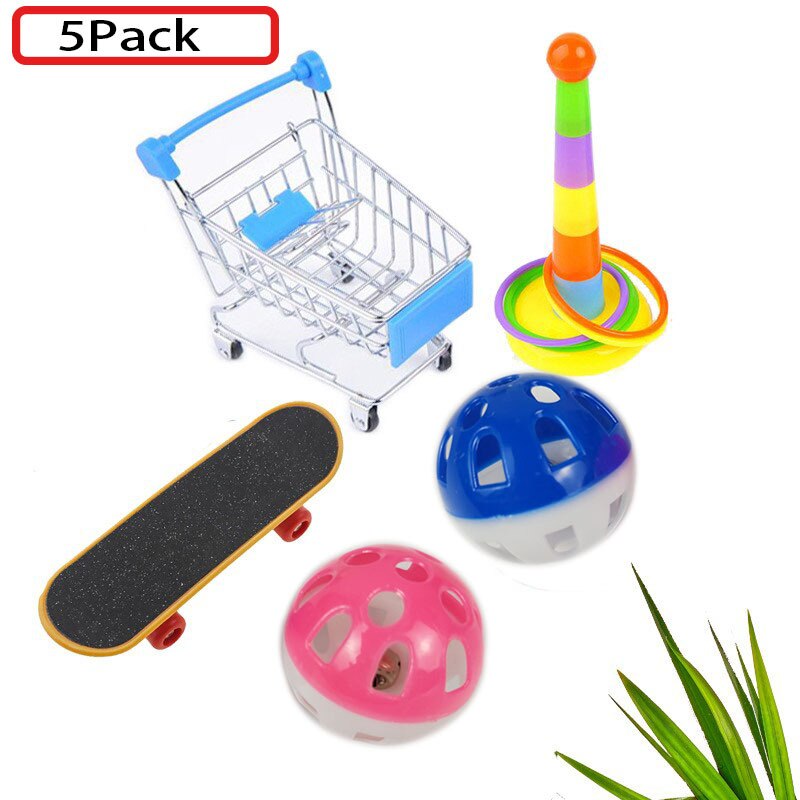 Birds Training Toys Set