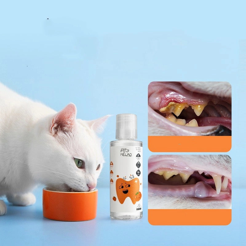 Minimalist Plastic Solid Color Pet Mouthwash