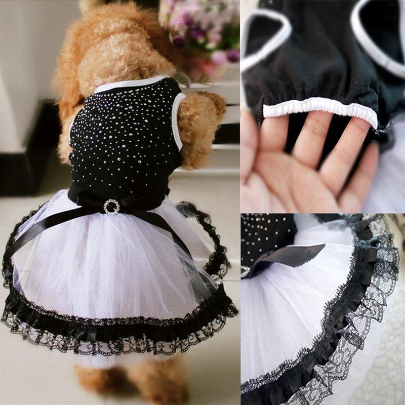 Spring And Summer Pet Fashion: Stylish Dog Clothing For A Trendy