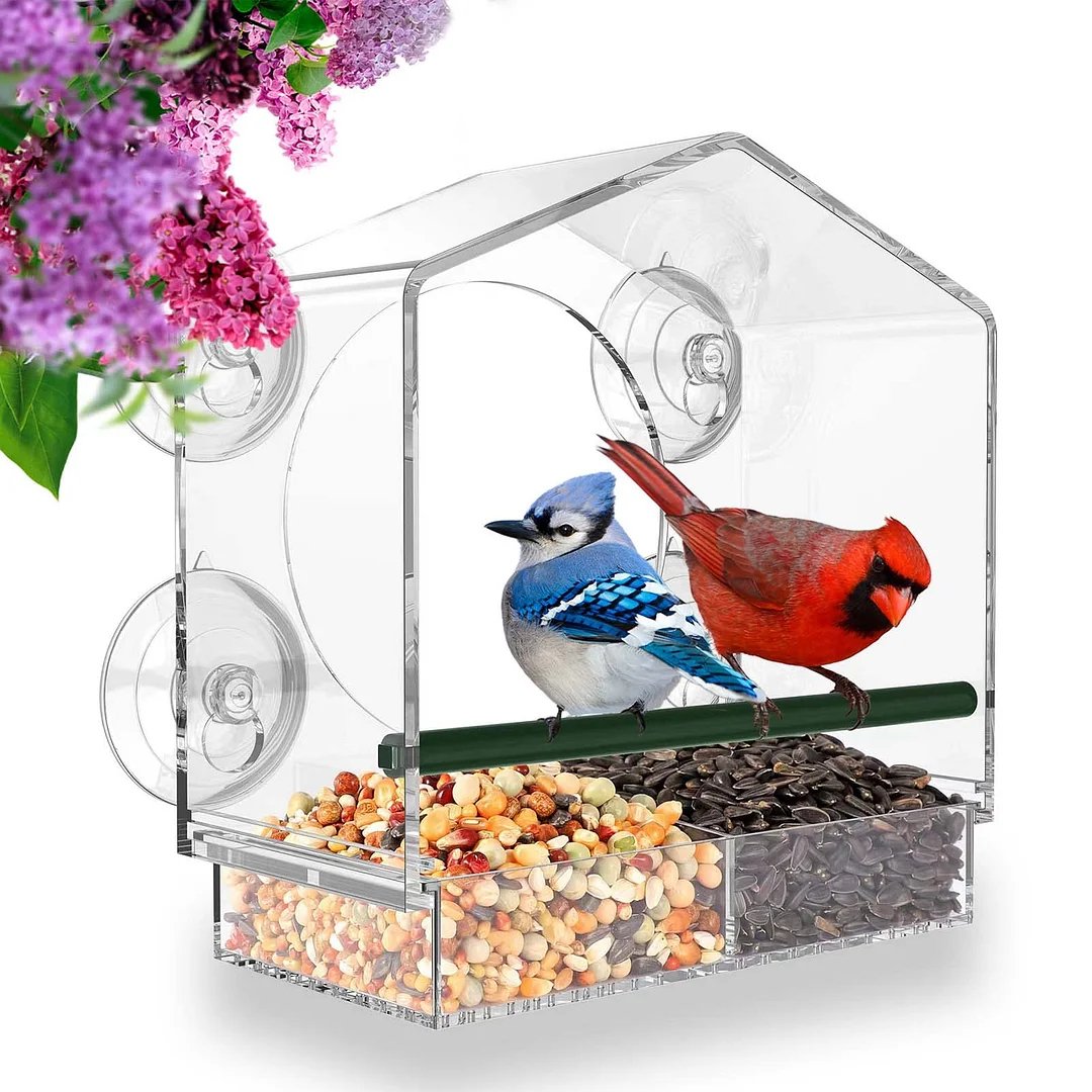 🔥Window Bird Feeder for Outside