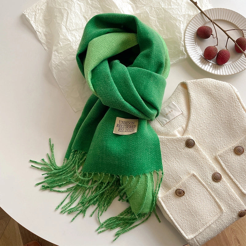 New Scarf Autumn And Winter Popular Color Matching Cashmere High-grade Warm Shawl Student Fashion Scarf Female