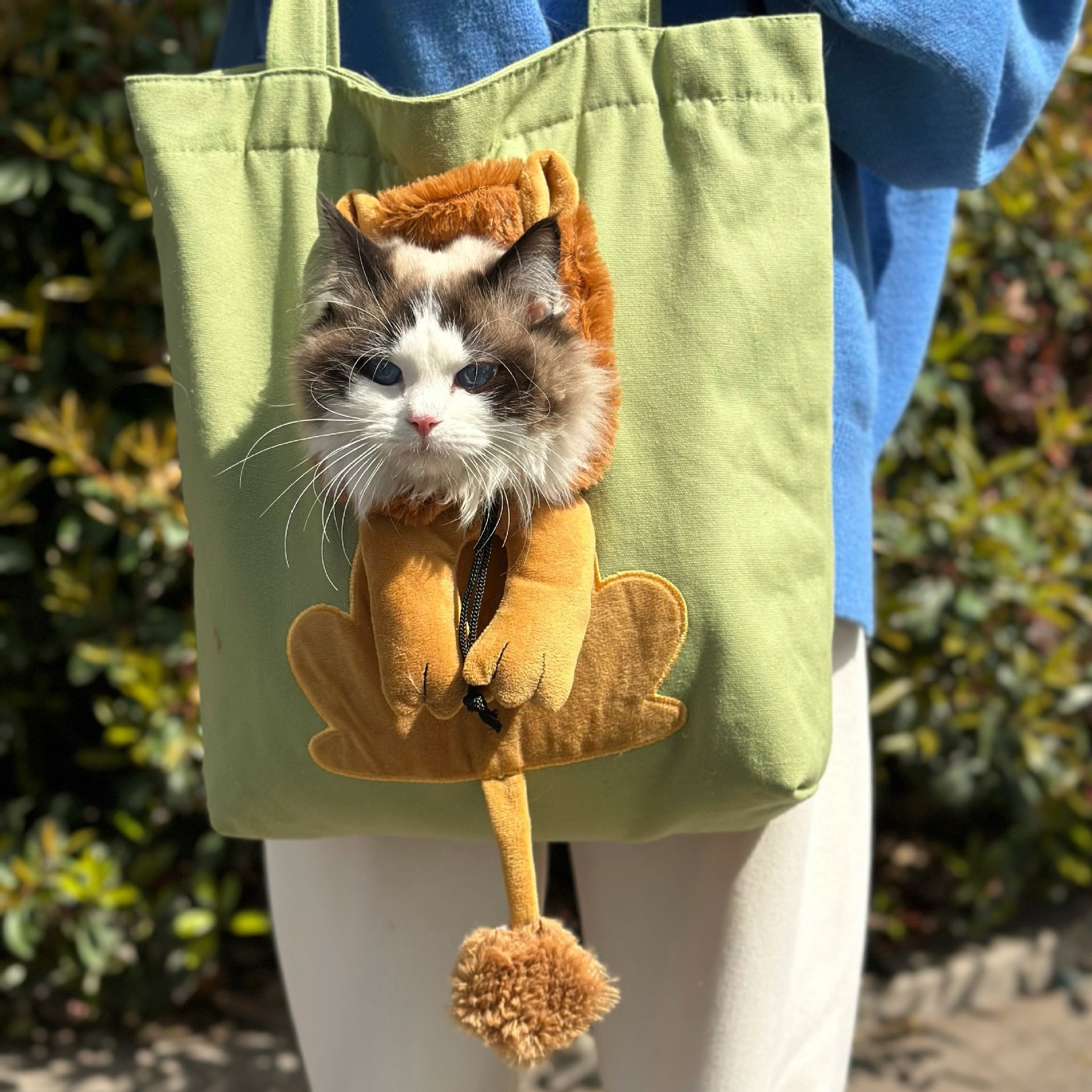 🐱 Hot Sale 🐱 Canvas Cat Carrier Bag