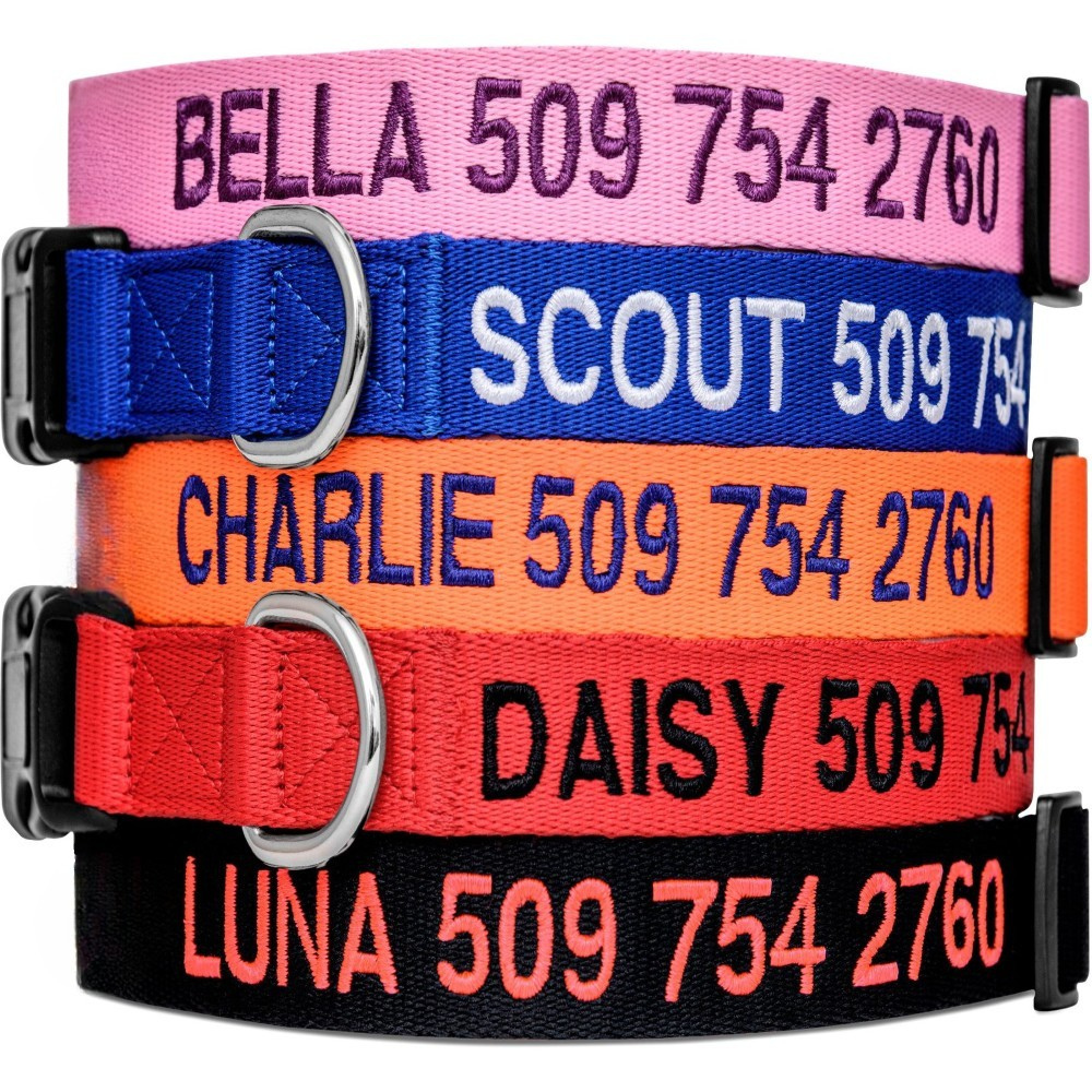 Personalized Adjustable Dog Collar For All Breeds