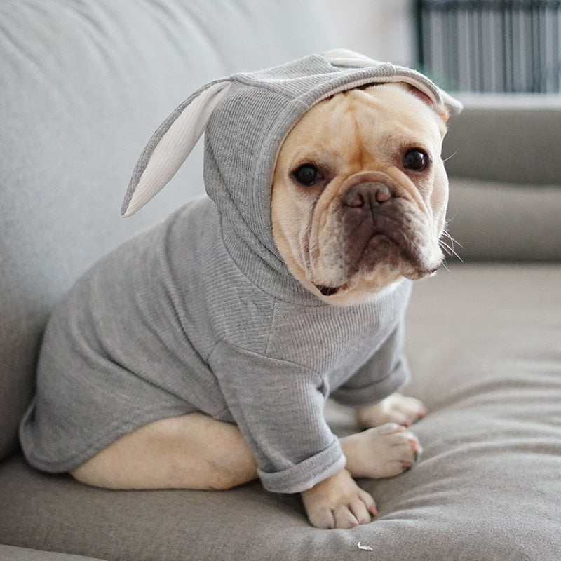 Rabbit Ears Shaped Dog Cat Hoodie