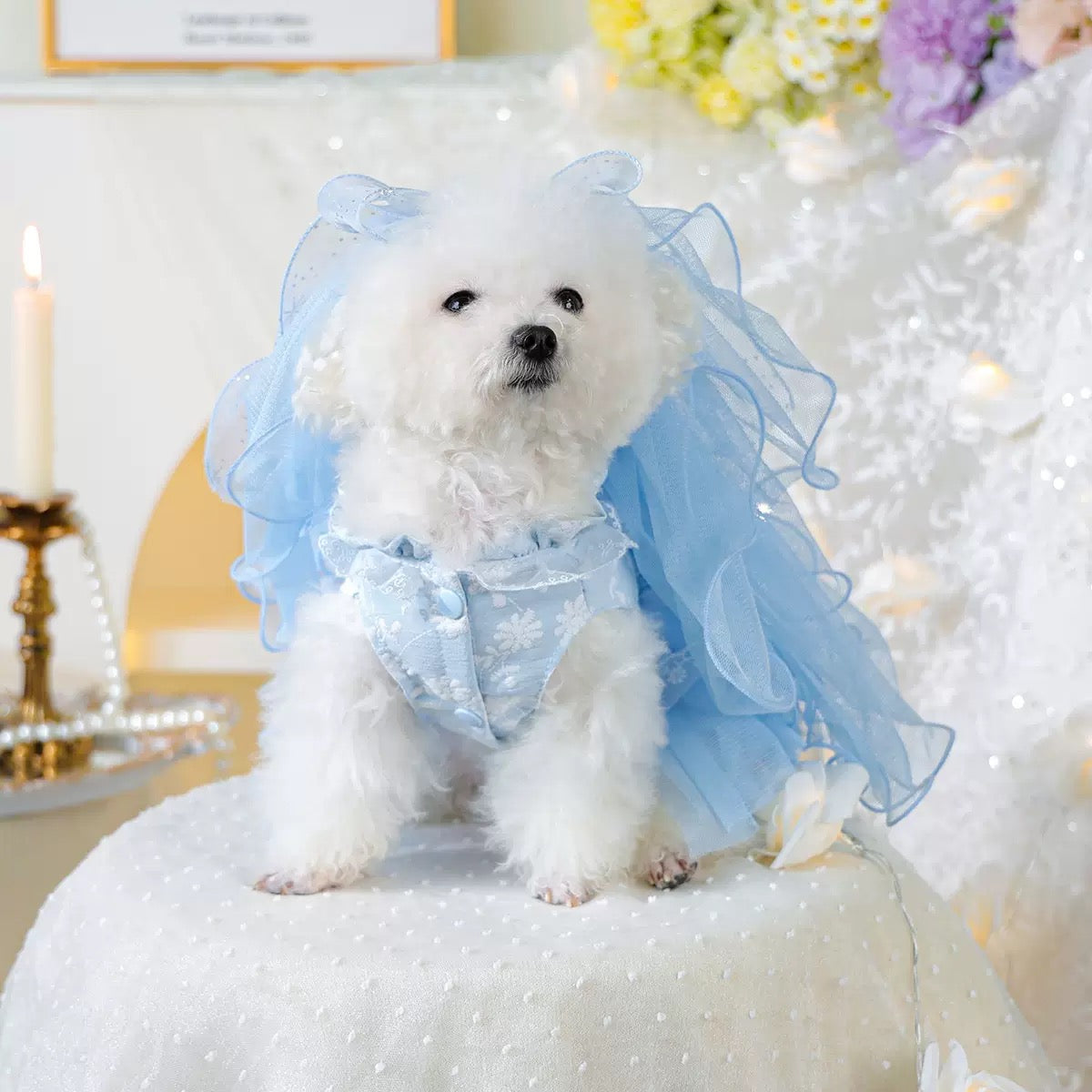 Bow/Mermaid/Ear Pattern Dog Cat Veil