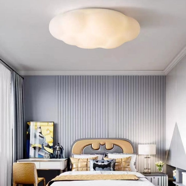 Ceiling Mounted Light