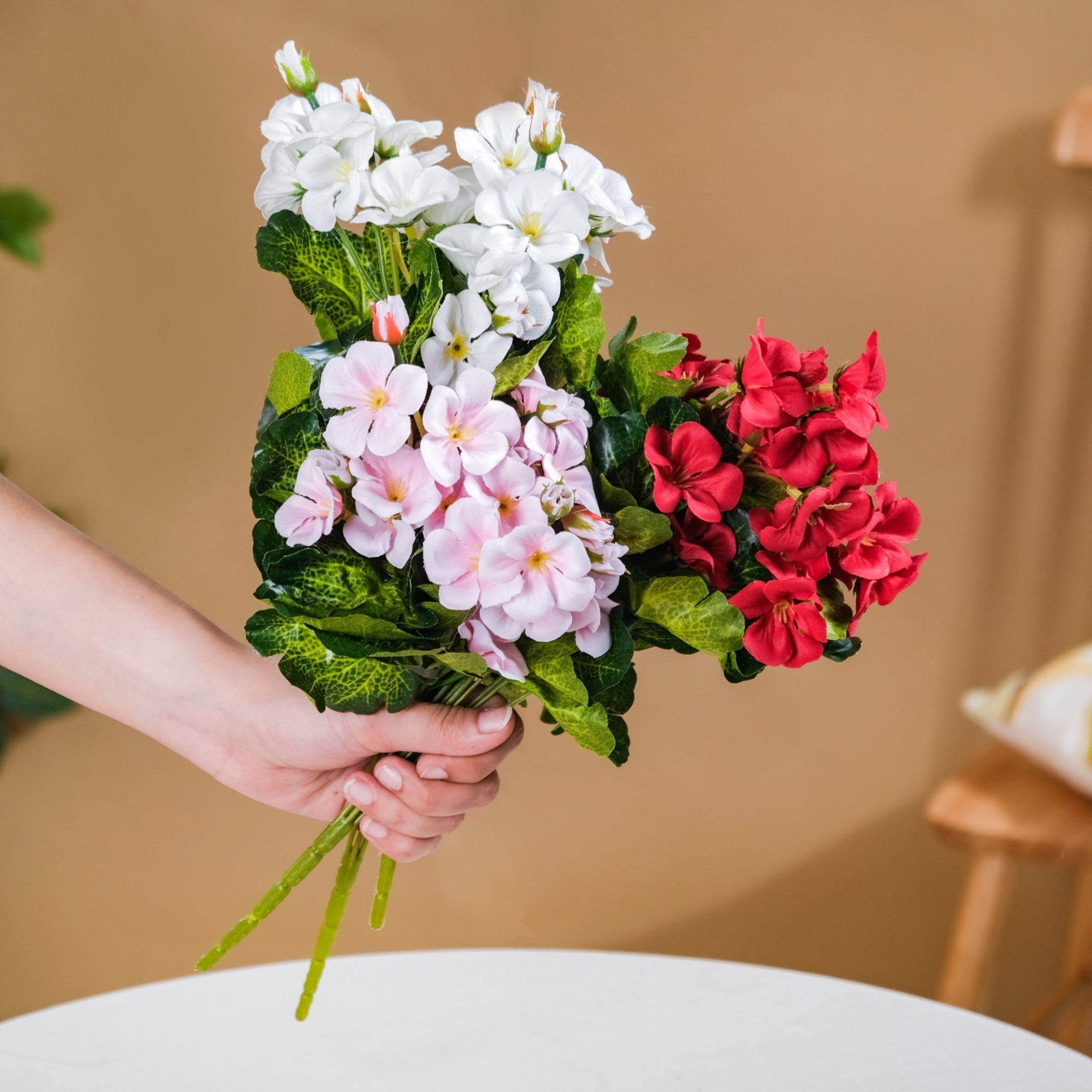 Begonia Flower Stem
