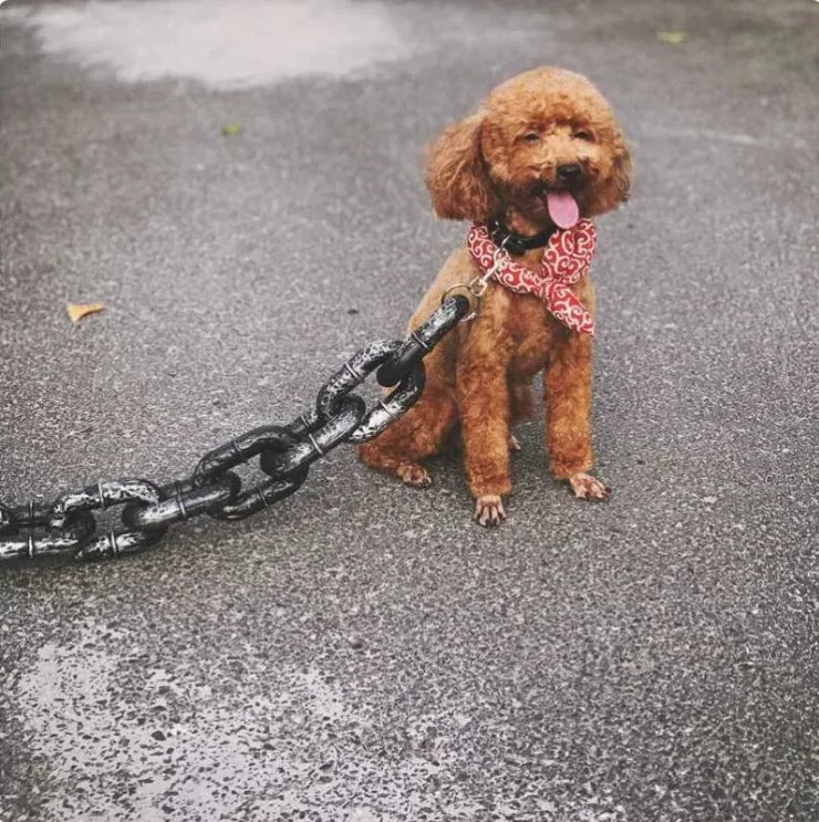 Plastic Iron Chain Halloween Prop