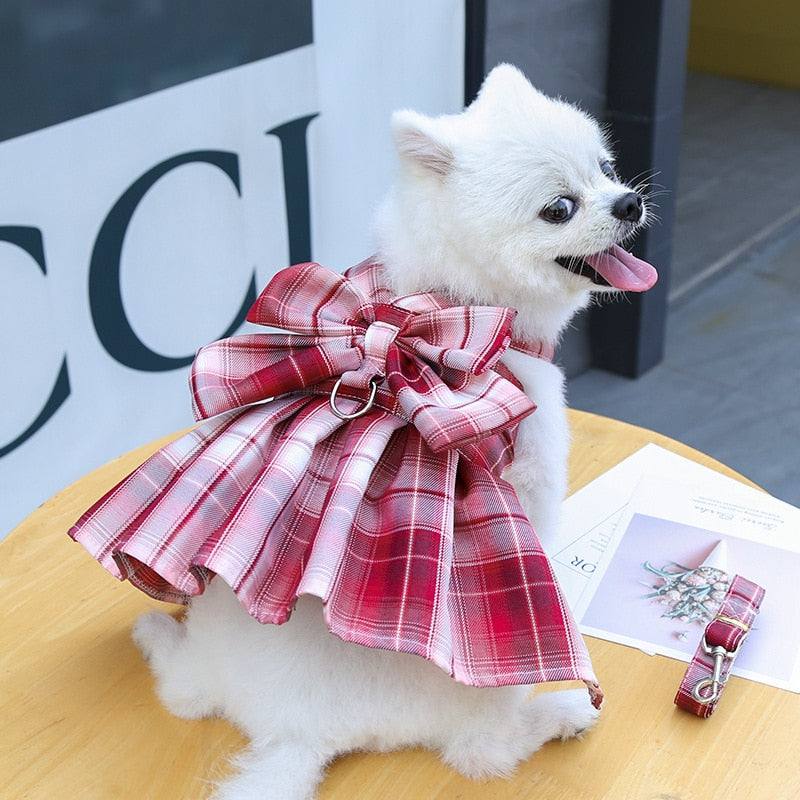 Bow Dog Collar Skirt And Harness