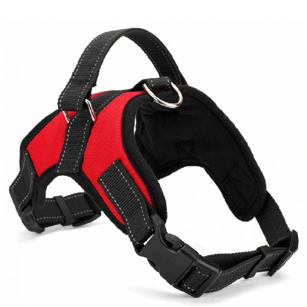Padded Heavy Duty Pet Harness