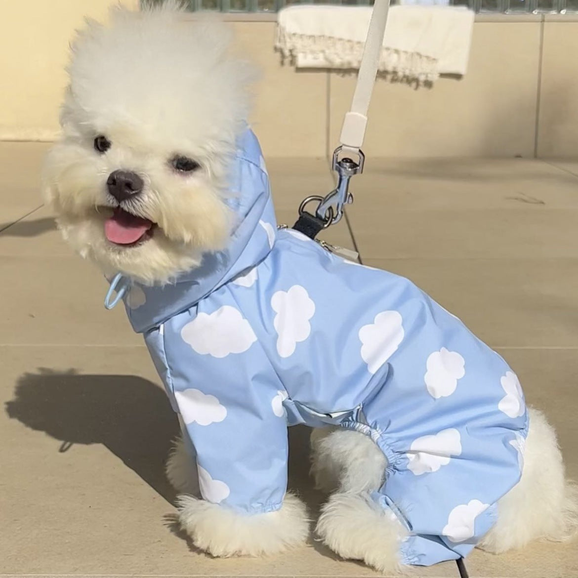 Heart/Cloud Printed Dog Cat Raincoat