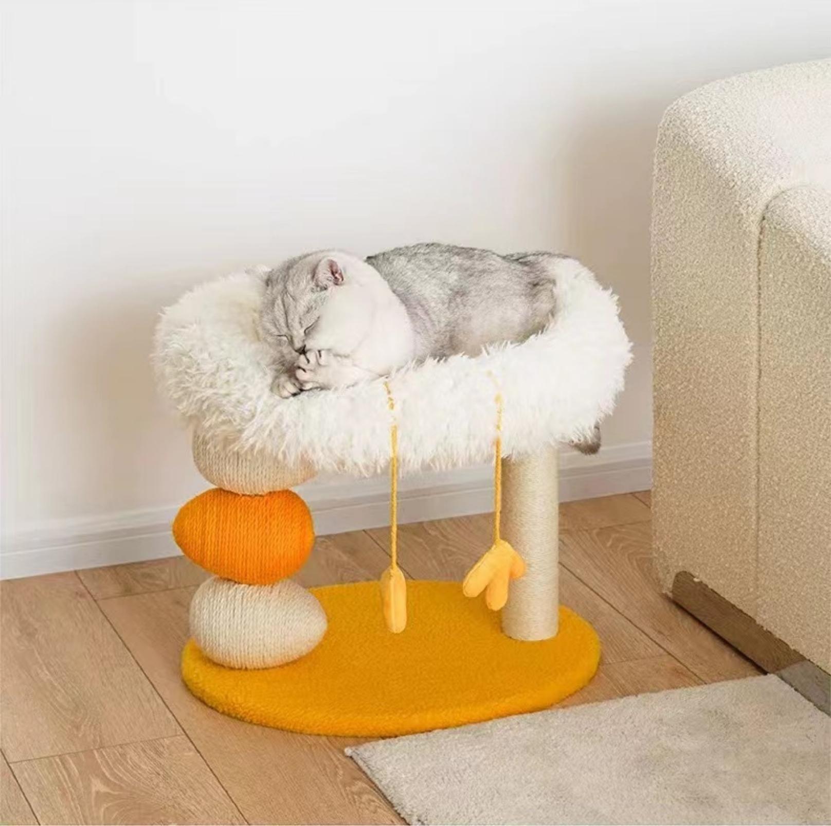 Cat Scratching Post and Cat Bed