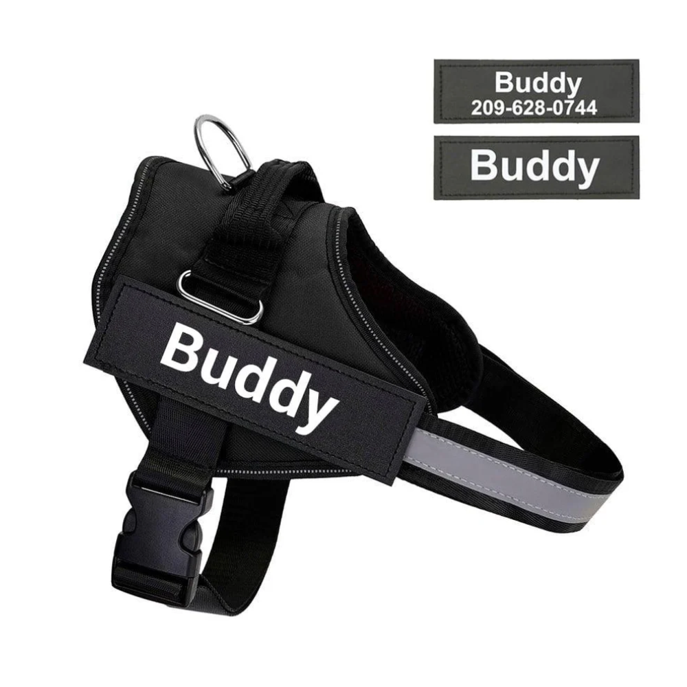 Personalized No Pull Harness